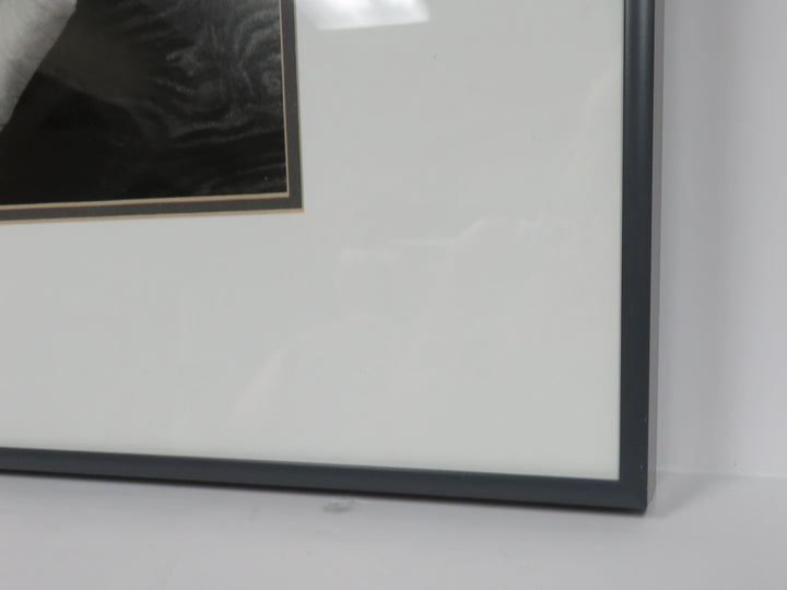 Ansel Adams Photograph Reproduction