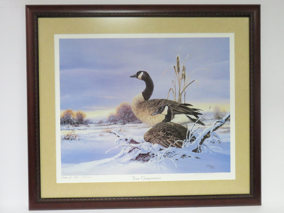 Picken Geese Print