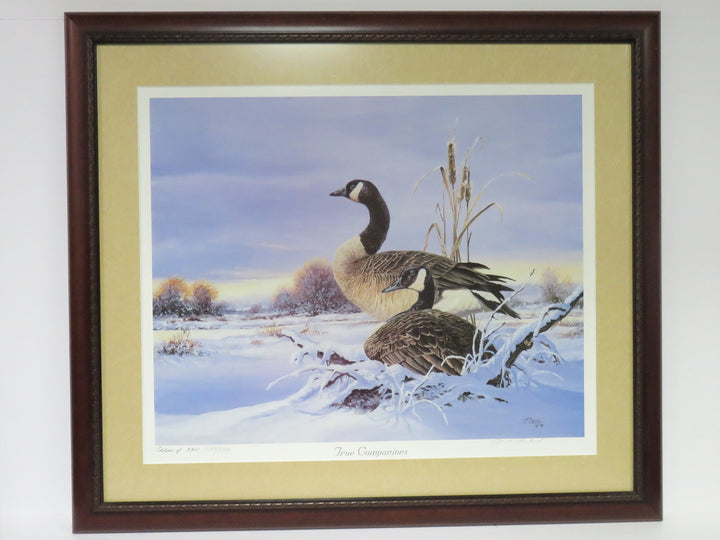Picken Geese Print