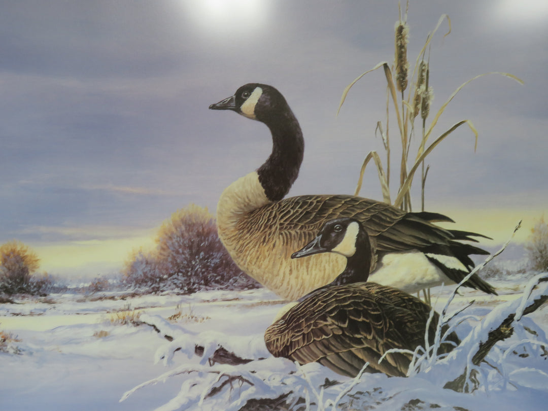 Picken Geese Print