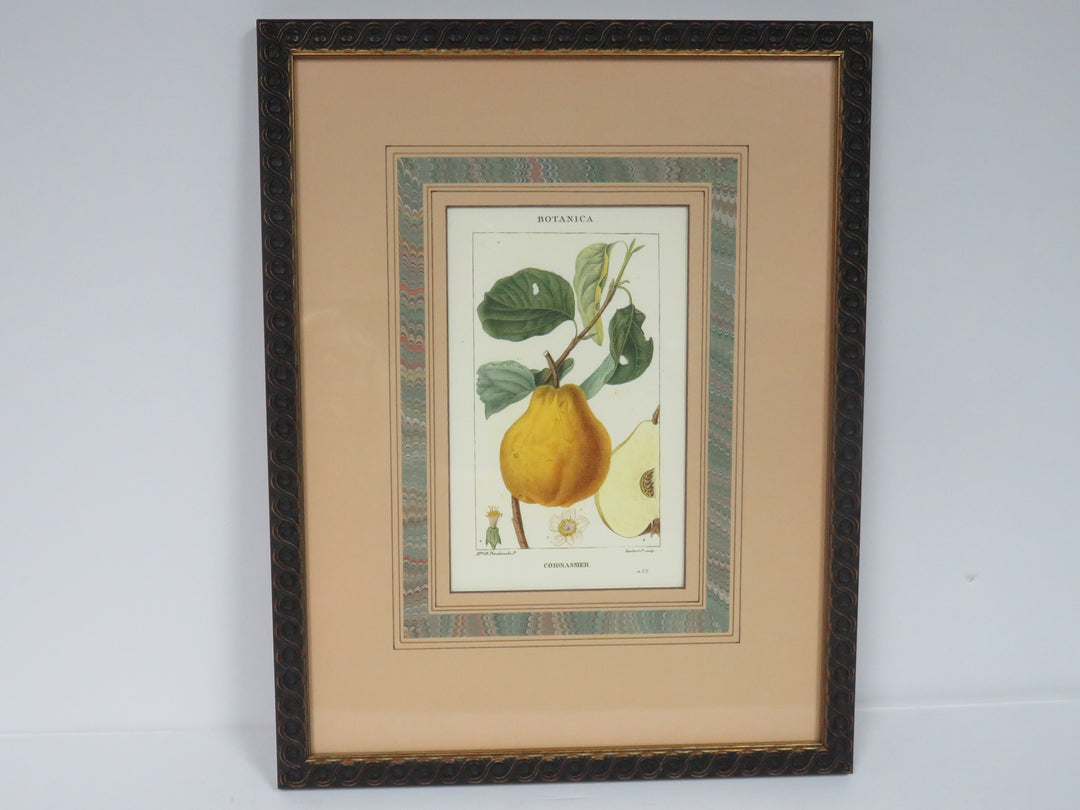 Fruit Print