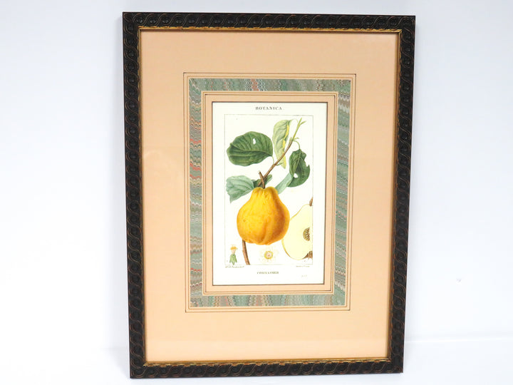 Fruit Print