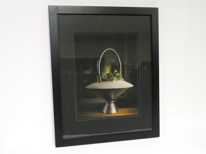 Still Life Photograph