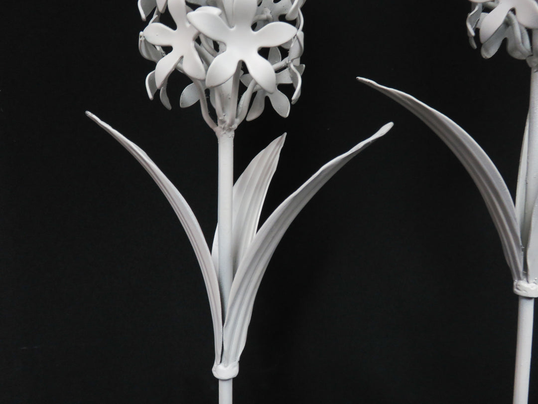 Hyacynth Sculpture Pair