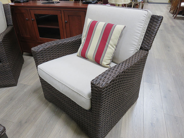 Brown Resin Wicker Porch Chair