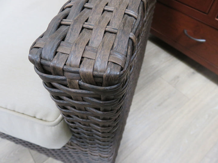 Brown Resin Wicker Porch Chair