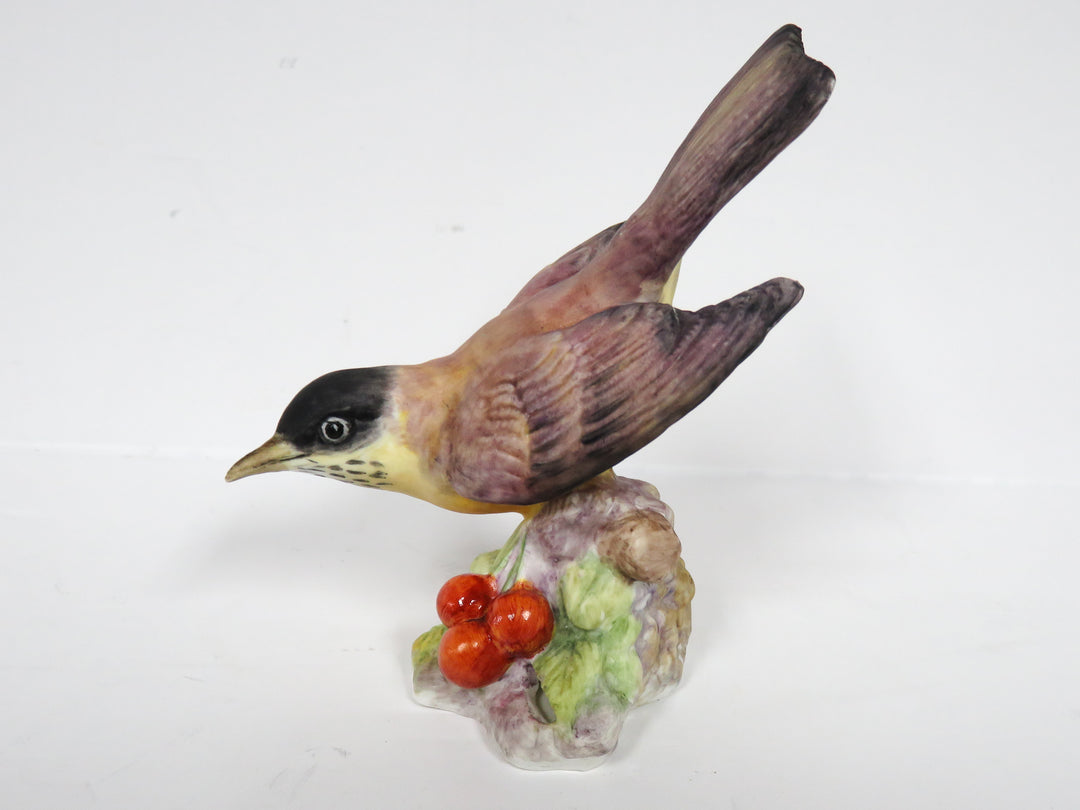 Royal Worcester Bird Figurine