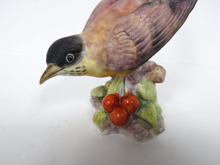 Royal Worcester Bird Figurine