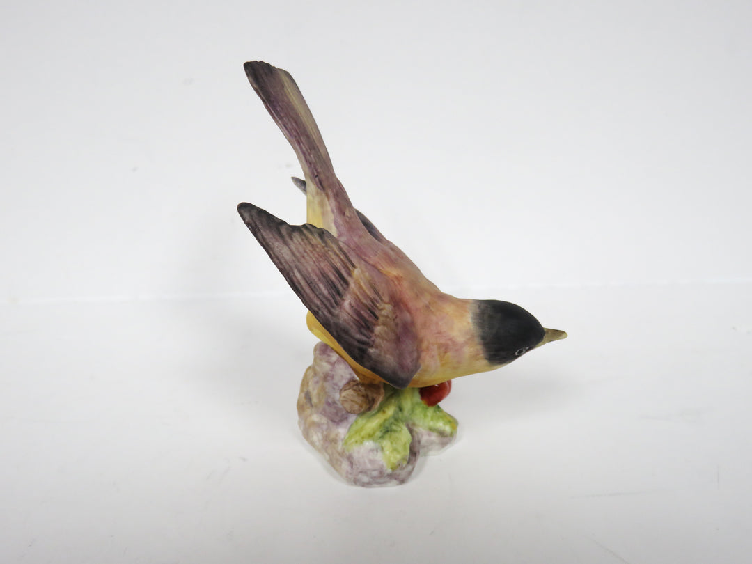 Royal Worcester Bird Figurine