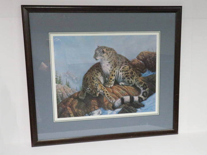 James Faulkner Bobcat Print