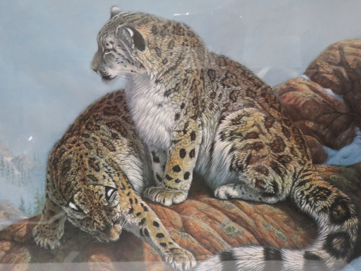 James Faulkner Bobcat Print