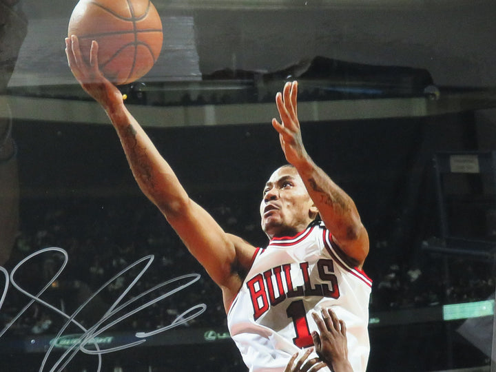 Autographed Derrick Rose Photograph