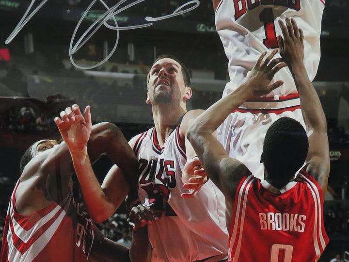 Autographed Derrick Rose Photograph