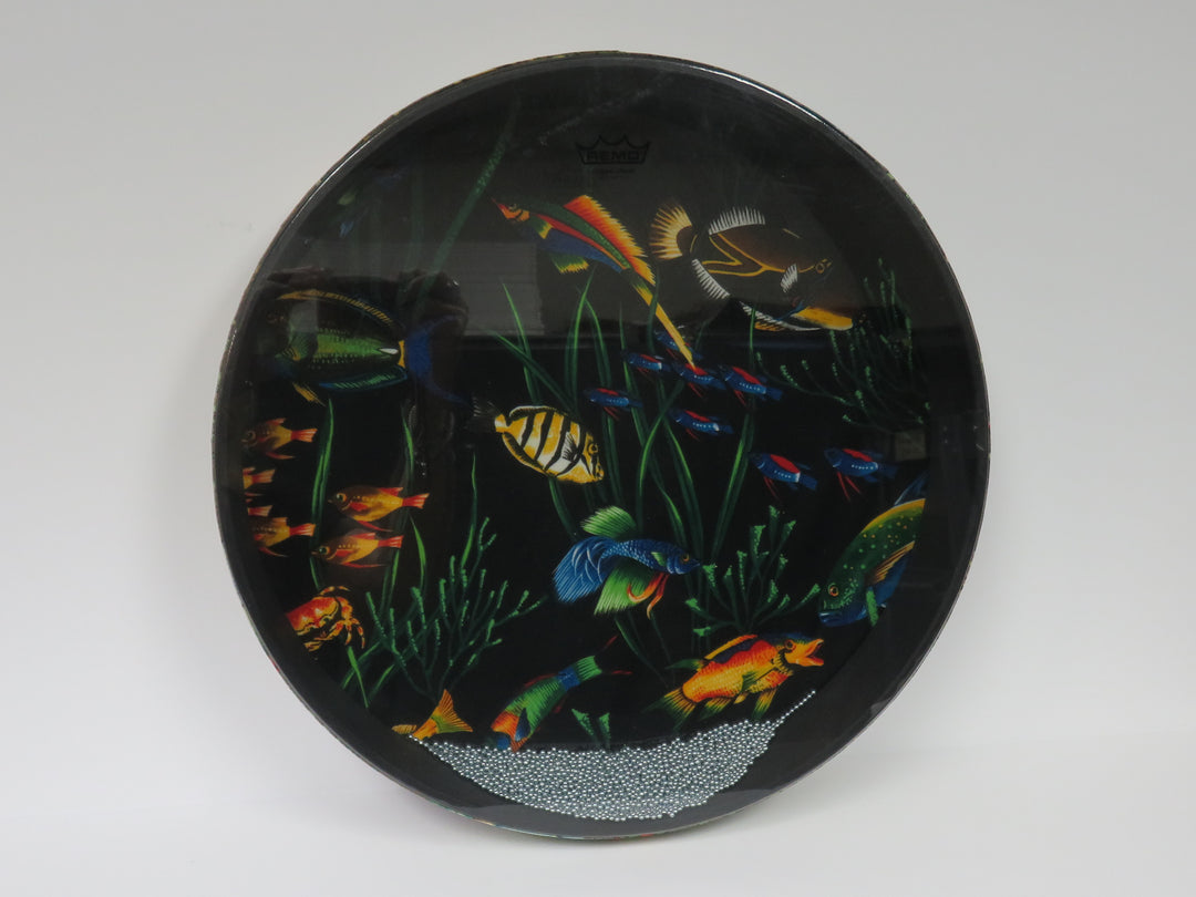 Remo Ocean Drum