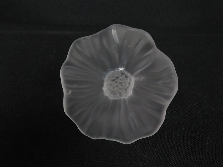 Perfume Bottle