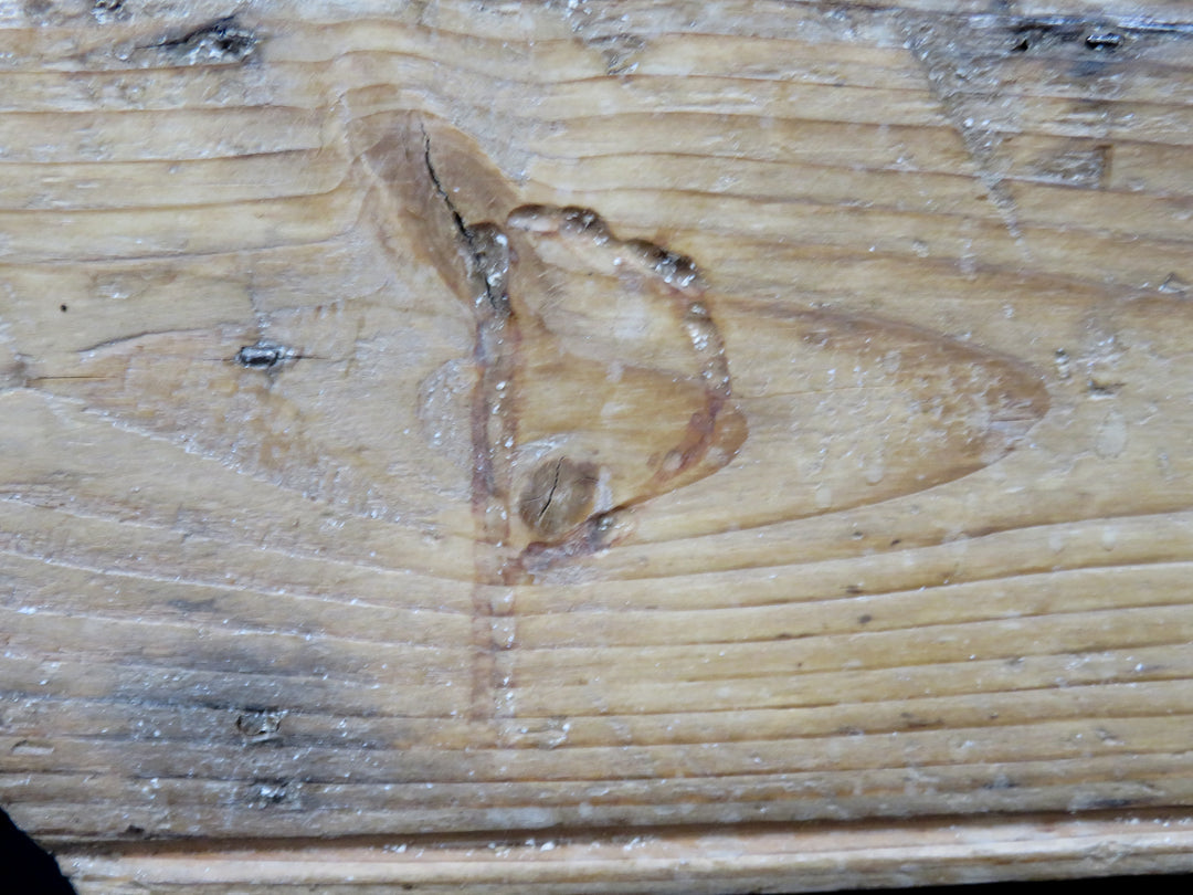 Rustic Wood Step Stool