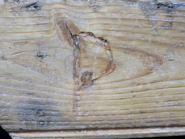 Rustic Wood Step Stool