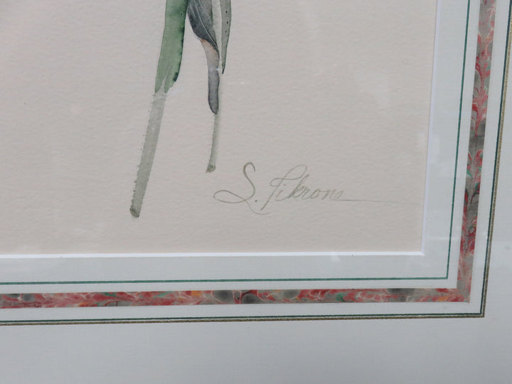Botanical Print