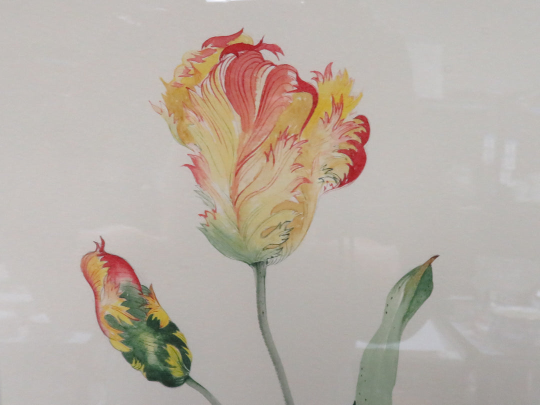 Botanical Print