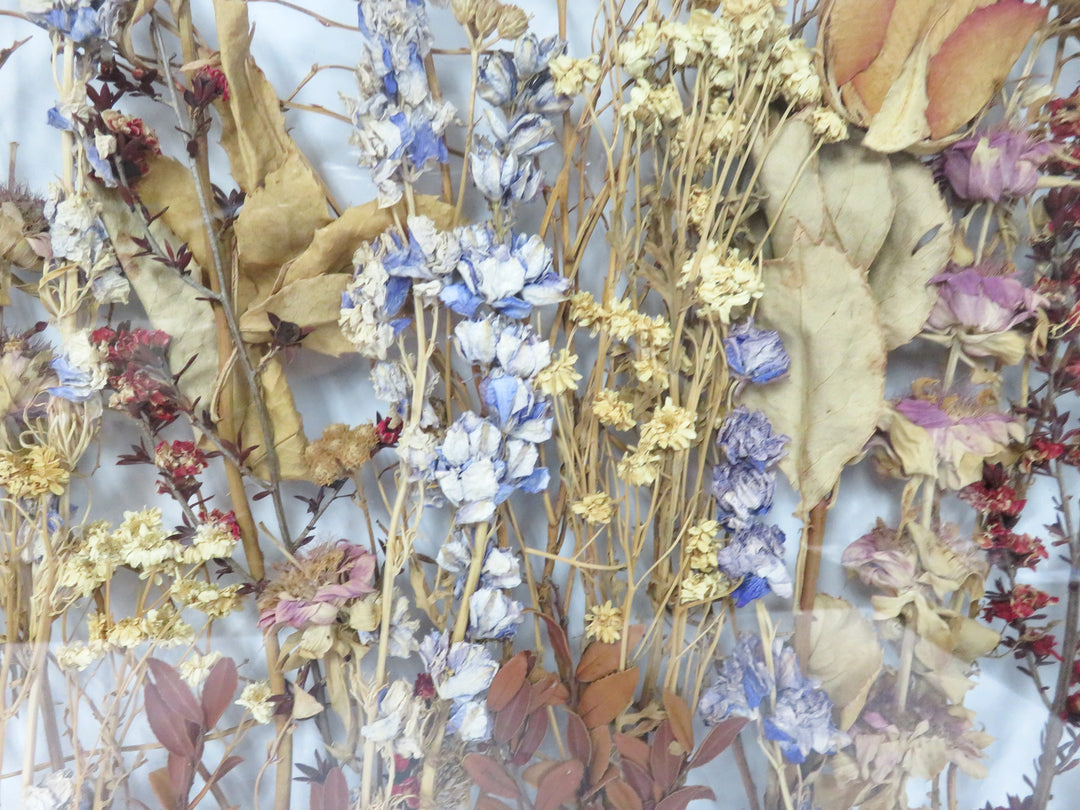 Dried Flowers in Window Frame