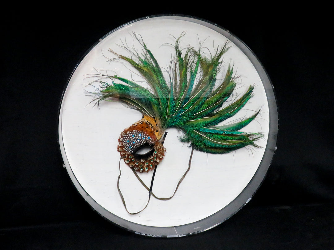 Feather Fascinator Wall Hanging