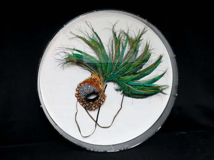 Feather Fascinator Wall Hanging