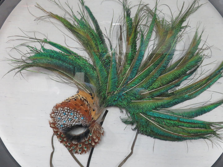 Feather Fascinator Wall Hanging