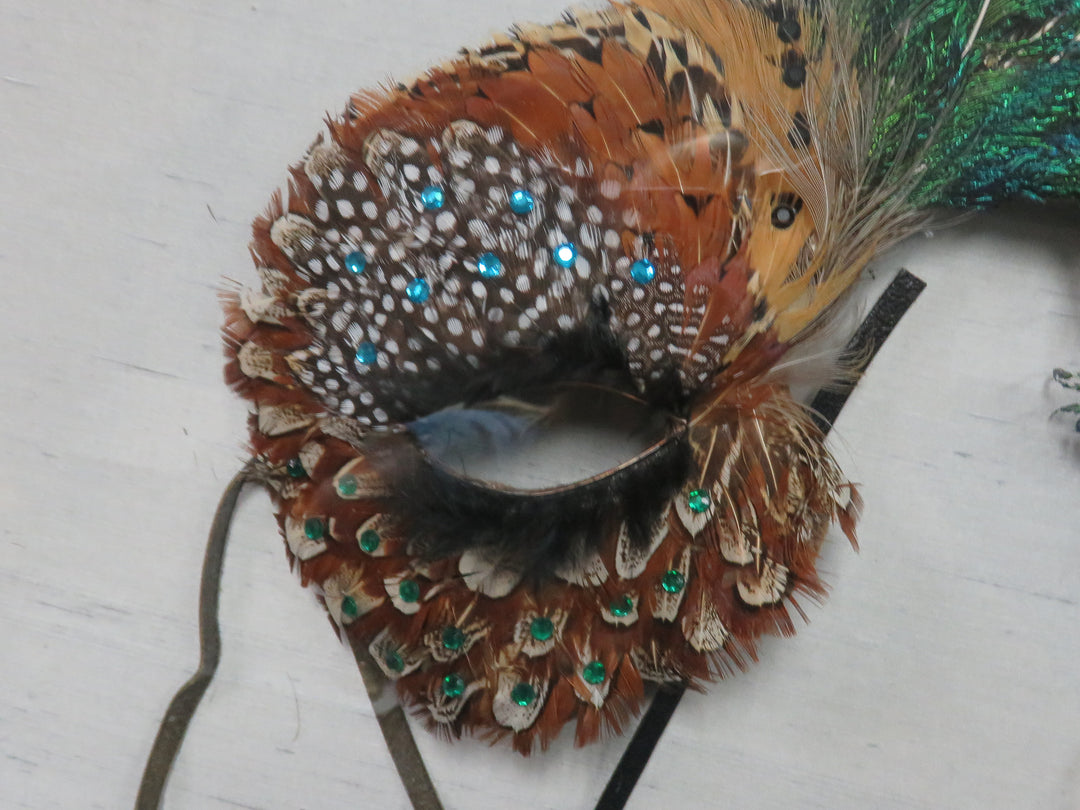 Feather Fascinator Wall Hanging