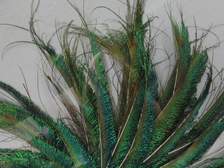 Feather Fascinator Wall Hanging
