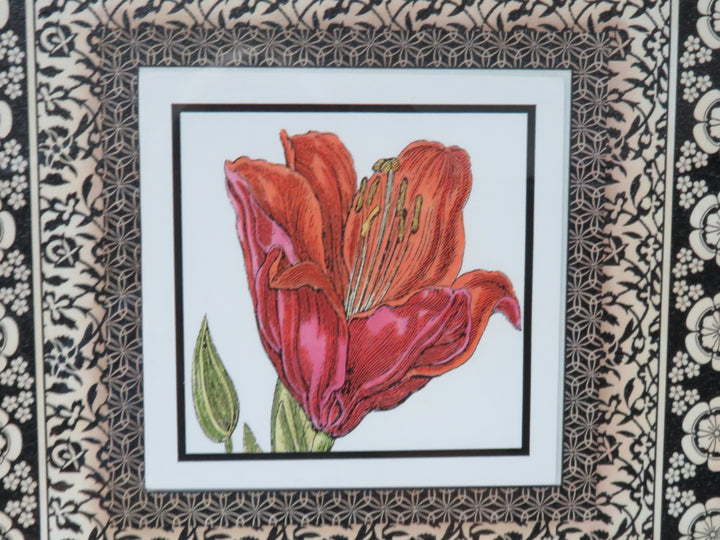 Botanical Print