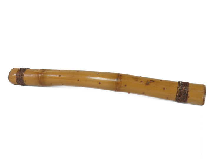 Rain Stick