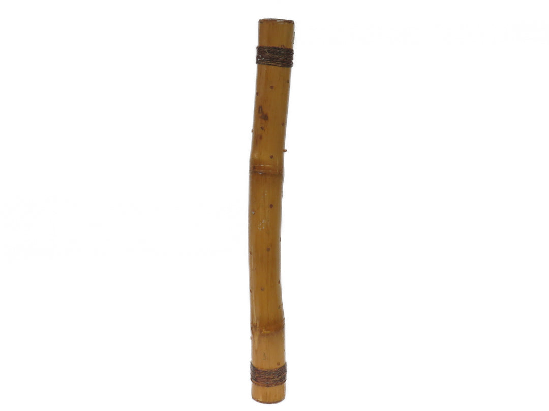 Rain Stick