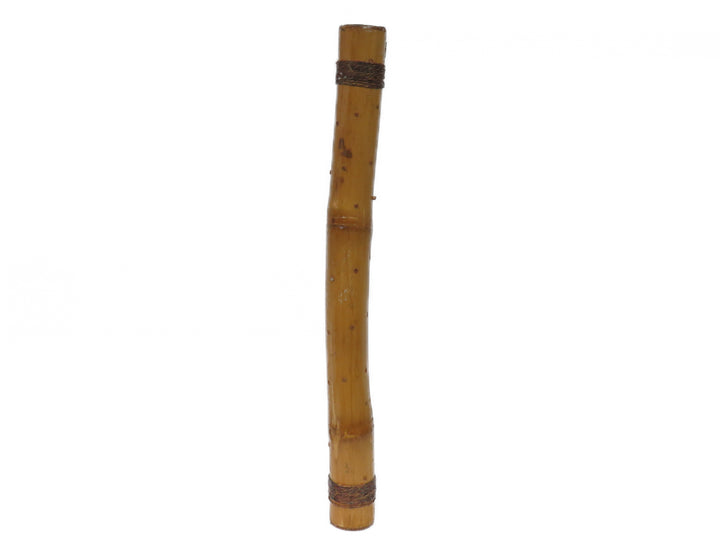 Rain Stick