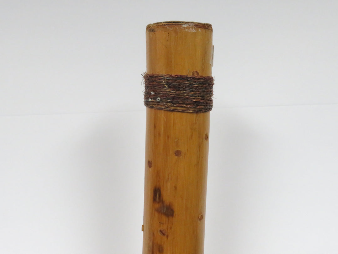 Rain Stick