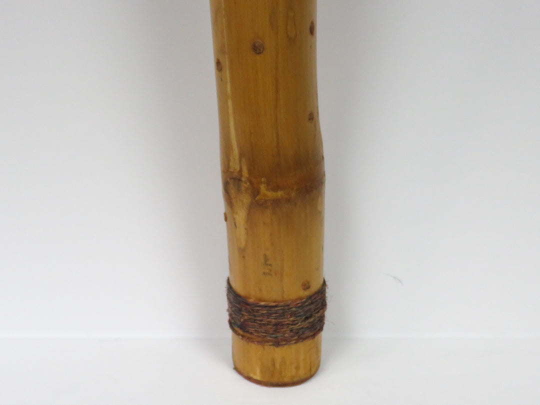 Rain Stick