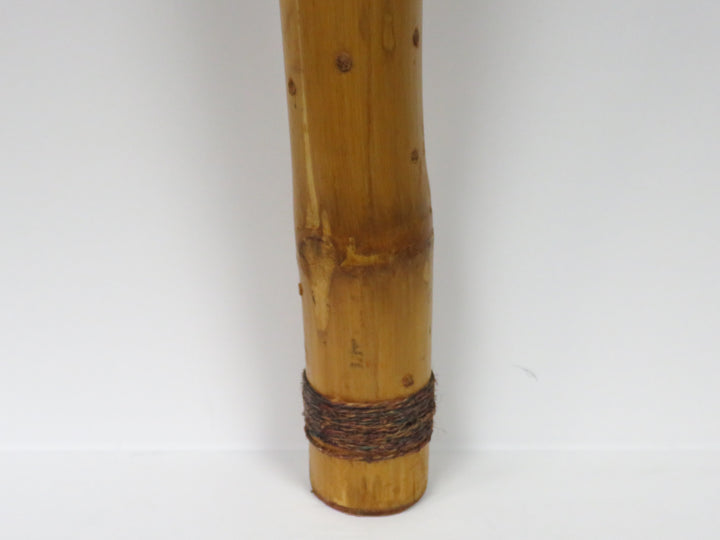 Rain Stick