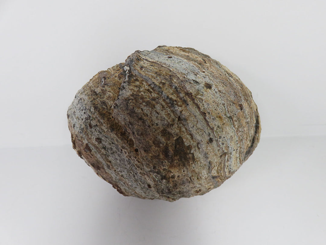 Grey and Tan Swirls Geode