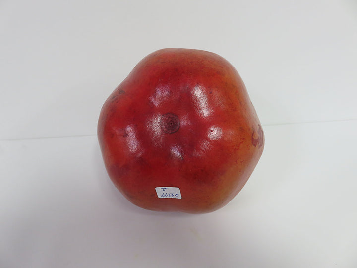 Apple Gourd