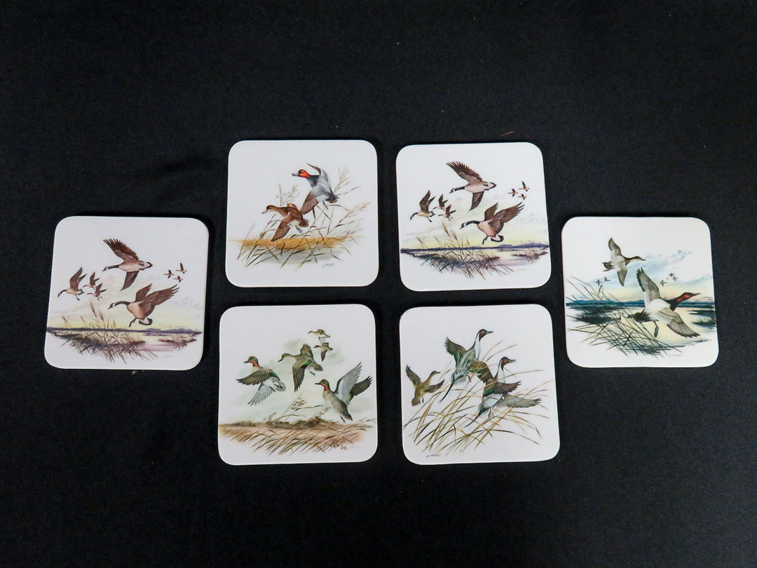 Duck Coasters