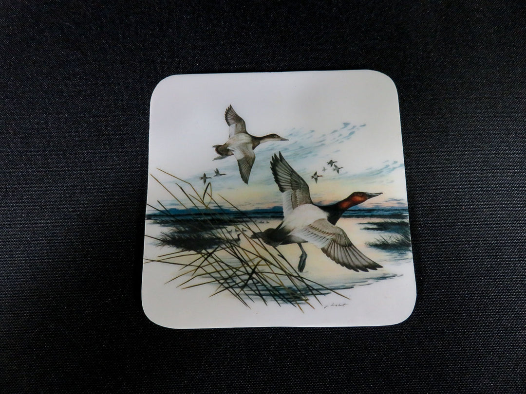 Duck Coasters