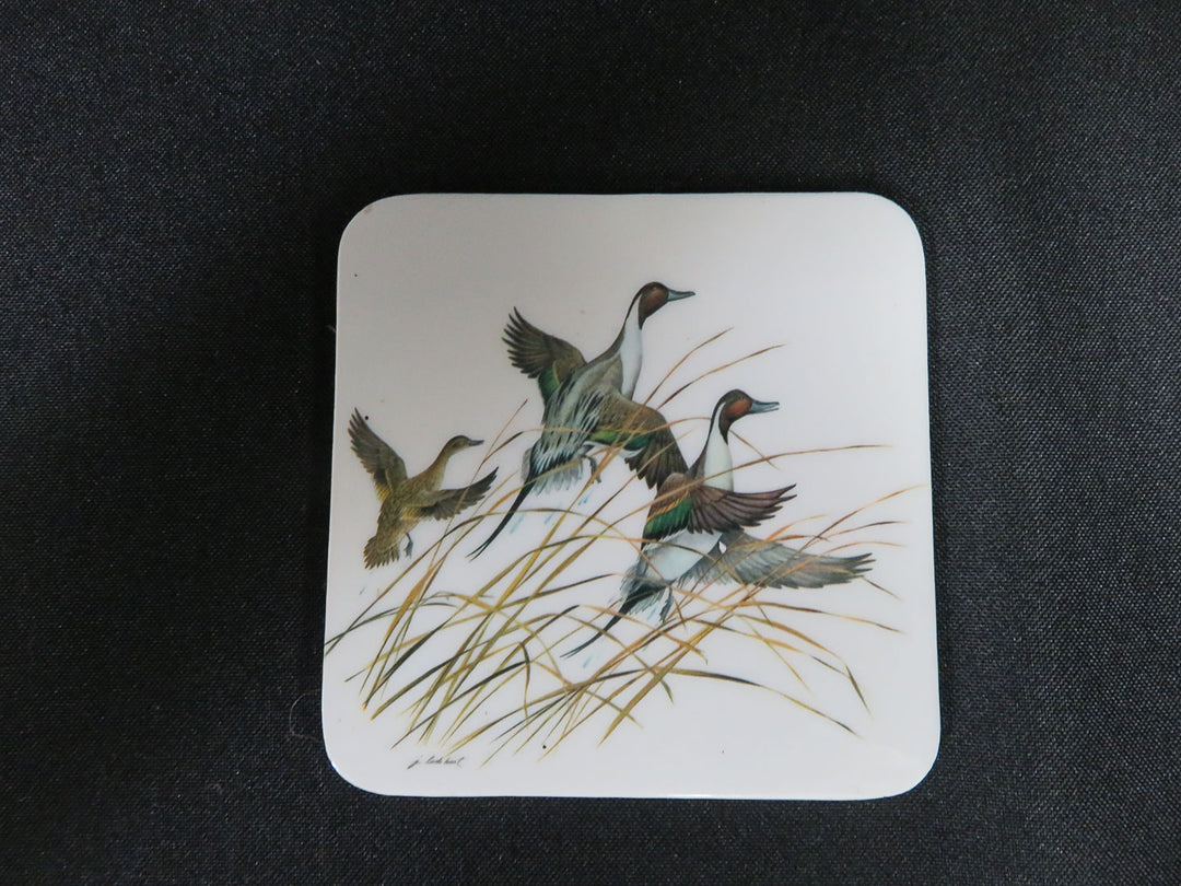Duck Coasters