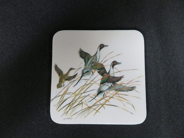 Duck Coasters