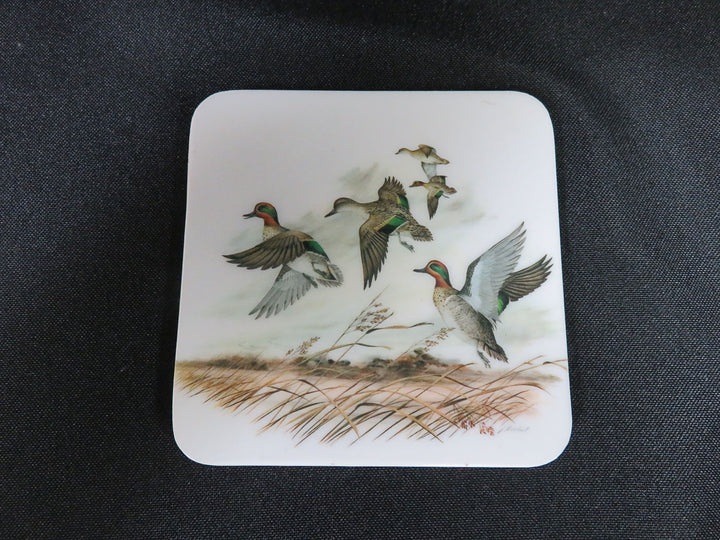 Duck Coasters