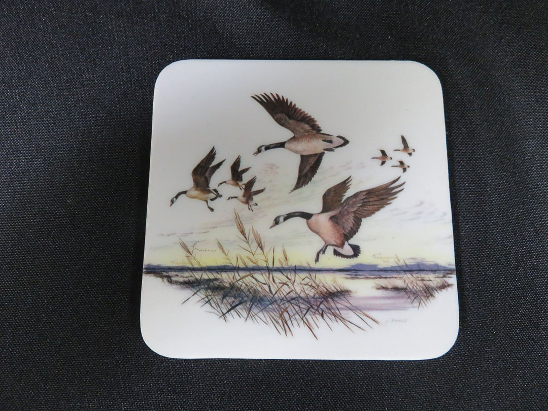 Duck Coasters