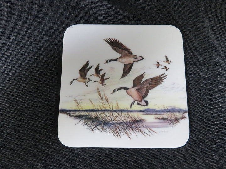 Duck Coasters