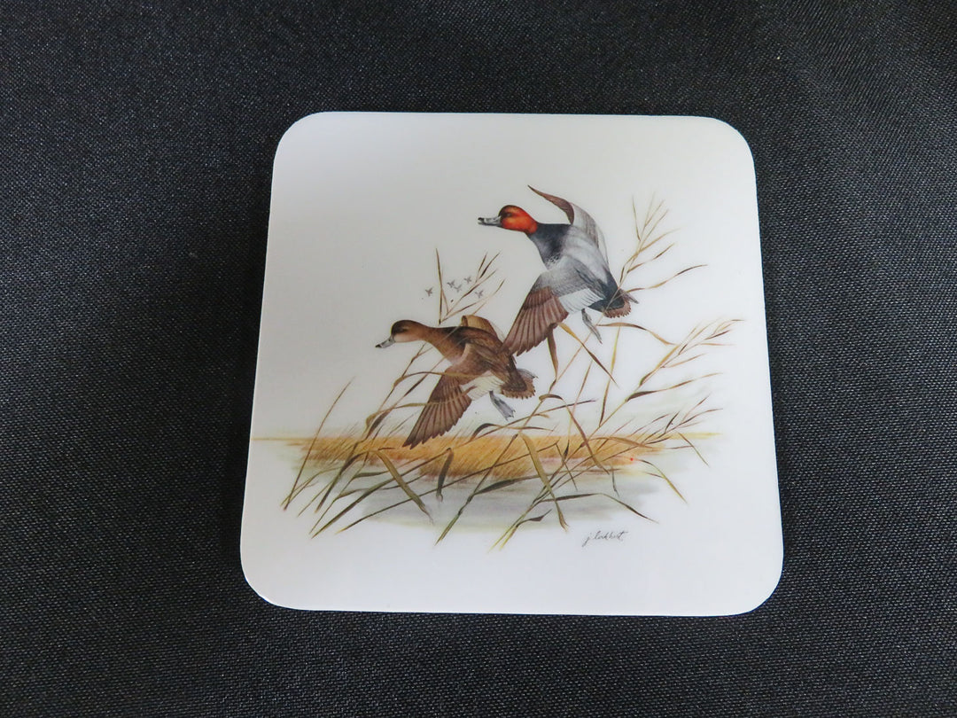 Duck Coasters
