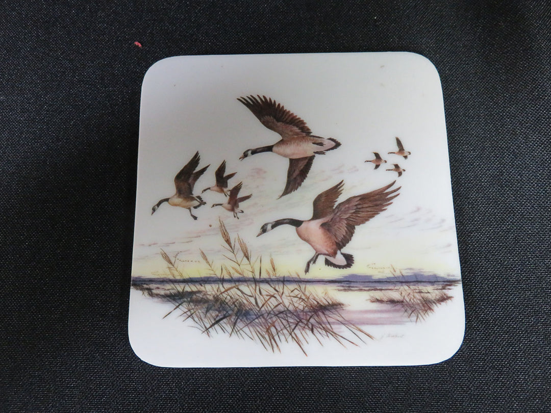 Duck Coasters