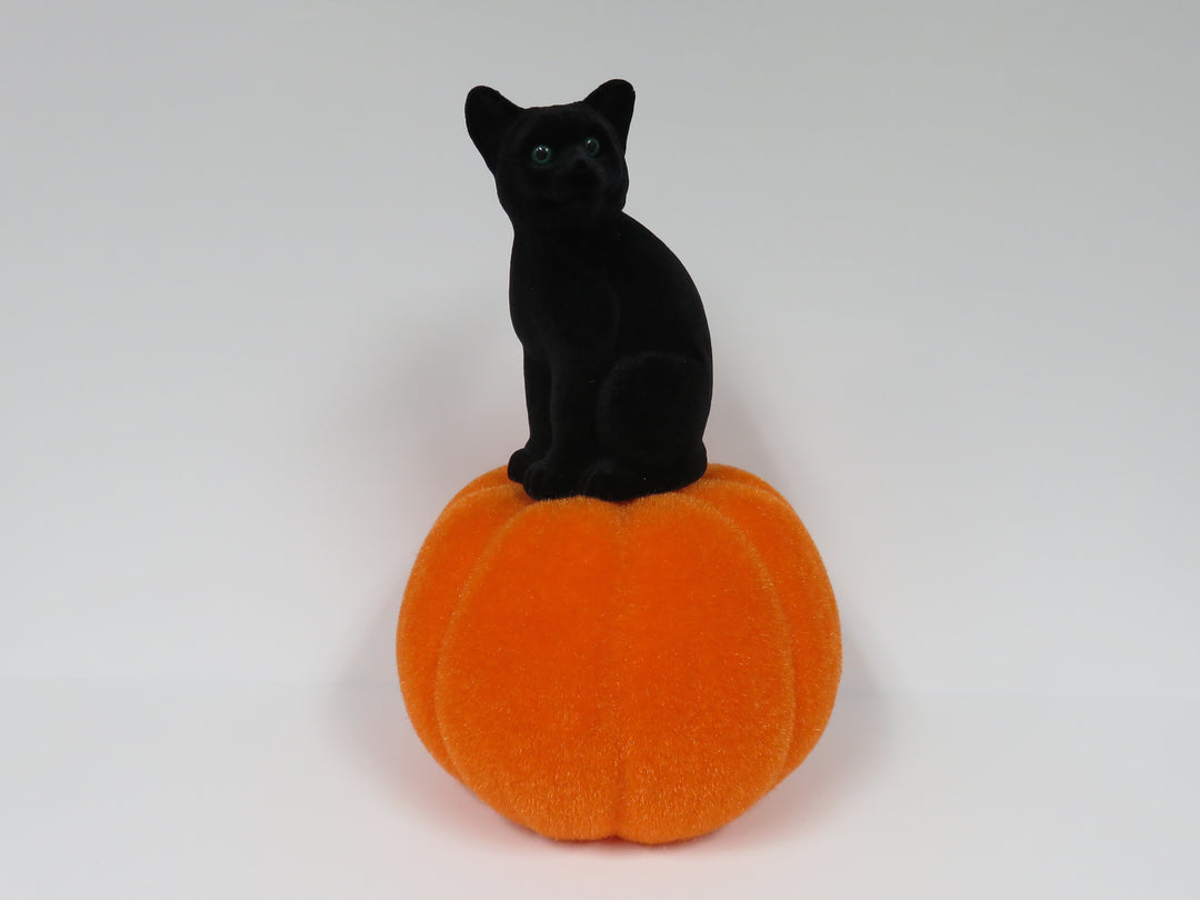 Flocked Cat on Pumpkin