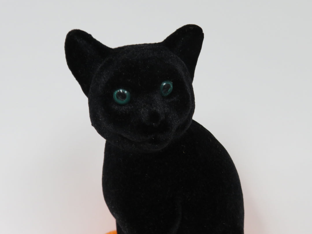 Flocked Cat on Pumpkin