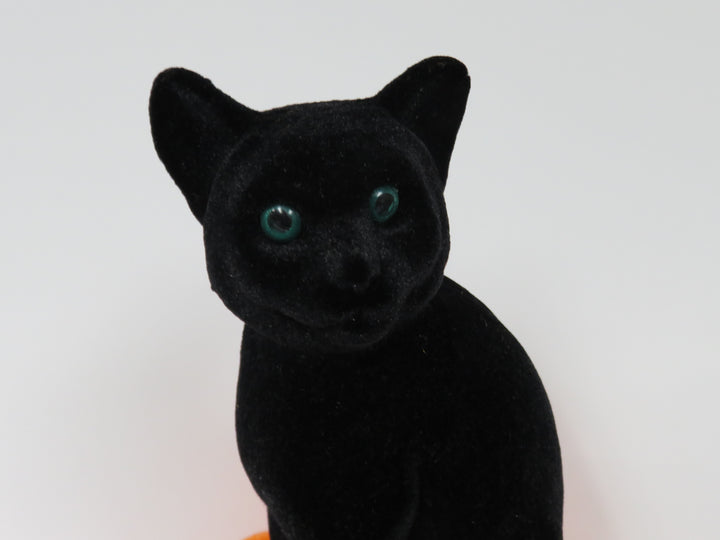Flocked Cat on Pumpkin